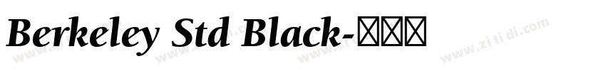 Berkeley Std Black字体转换